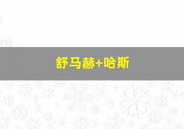 舒马赫 哈斯